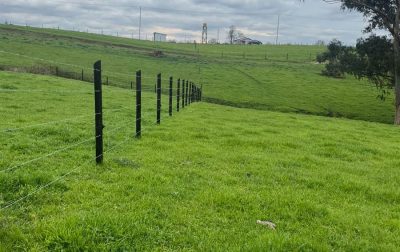 5510_g_FtpgF6k77JN4DZtocqay20250128203030